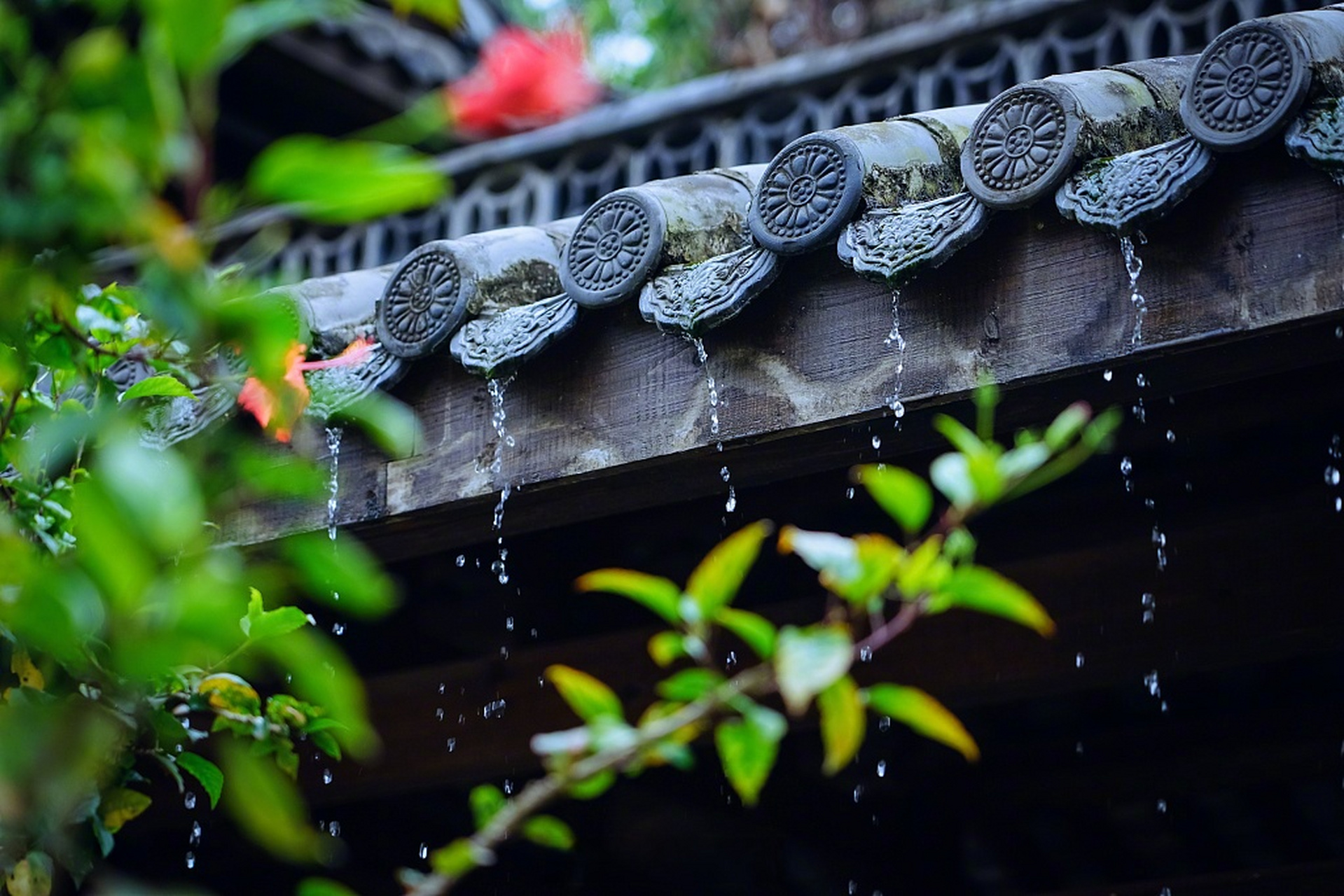 又到梅雨季，毛巾生產(chǎn)廠家告訴你毛巾這段期間要格外注意